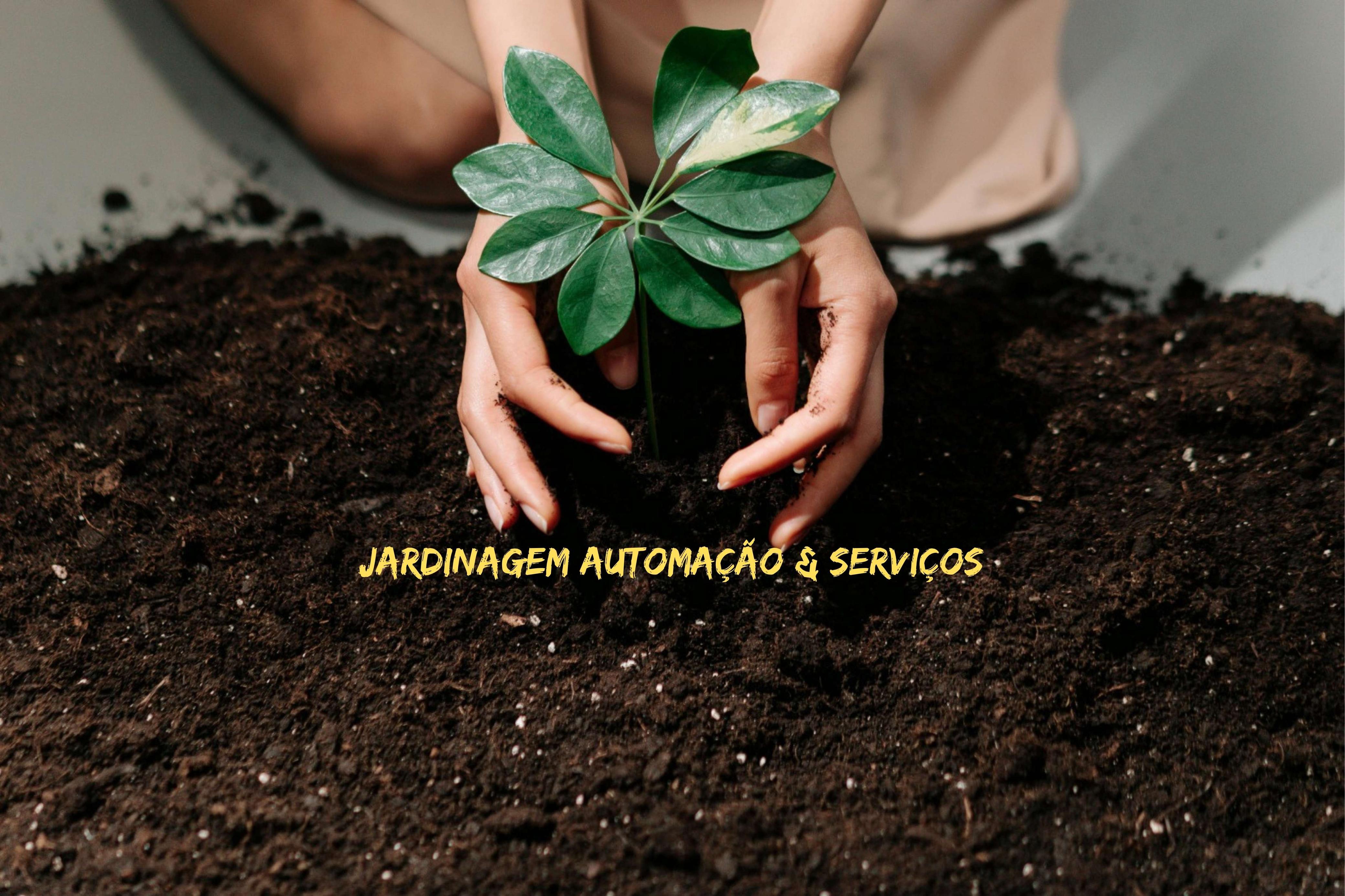 Banner Sobre a JAS: Equipe e Serviços